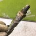 Датчик кислородный/Lambdasonde VW Golf 3 Vento 91-97 Датчик кислородный/Lambdasonde VW Golf 3 Vento 91-97