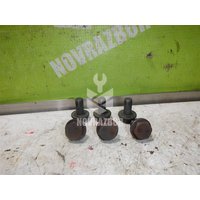 Болт коленвала Renault Kangoo 03-07