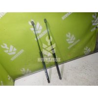 Амортизатор двери багажника Ford Focus 2 05-08