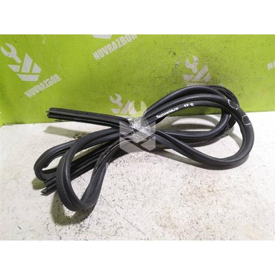 Уплотнитель двери Ford Focus 2 05-08