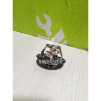 Термостат Renault Megane 2 02-09