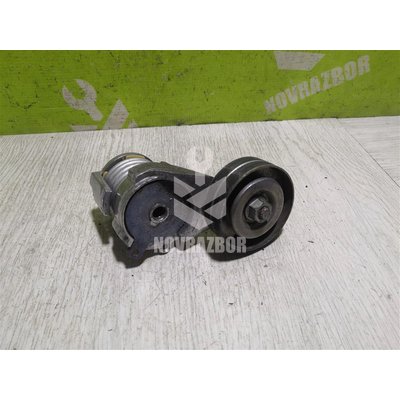 Ролик-натяжитель ручейкового ремня Audi A6 C5  97-04