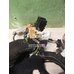 Проводка (коса) Seat Ibiza 4 2002-2008 Проводка (коса) Seat Ibiza 4 2002-2008