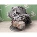 МКПП механическая коробка Opel Vectra B 1995-1999