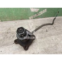 Цапфа Ford Focus 1 1998-2004