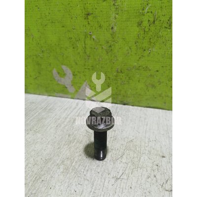 Болт коленвала Seat Cordoba 1999-2002