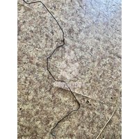 Трубка тормозная BMW X3 F25 2010-2017