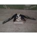 Петля капота Renault R19 1992-2002 Петля капота Renault R19 1992-2002