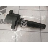 Катушка зажигания с наконечником Ford Focus 2 05-08