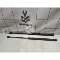 Амортизатор двери багажника Ford Focus 2 05-08