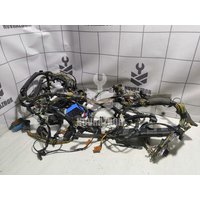Проводка (коса) Ford Focus 2 05-08