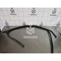 Уплотнитель стекла двери Ford Focus 2 05-08