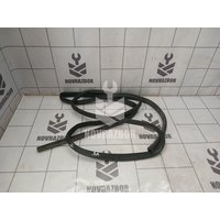 Уплотнитель двери Ford Focus 2 05-08