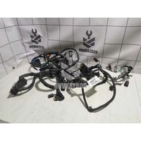 Проводка (коса) Ford Focus 2 05-08