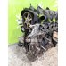 Двигатель Renault Clio 3 2005-2012 Двигатель Renault Clio 3 2005-2012