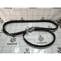 Уплотнитель двери Renault Clio 3 2005-2012