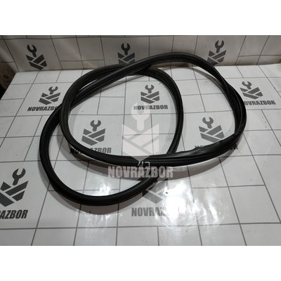 Уплотнитель двери Renault Clio 3  2005-2012