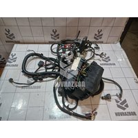 Проводка (коса) Ford Focus 1 1998-2004