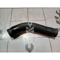 Шланг Ford Focus 1 1998-2004