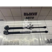 Амортизатор двери багажника Renault Megane 3 09-16