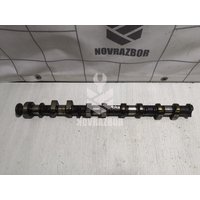 Распредвал выпускной Ford Focus 1 1998-2004