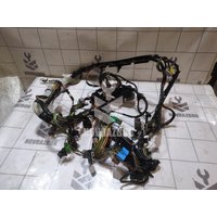 Проводка (коса) Ford Focus 1 1998-2004