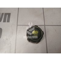 Крышка расширительного бачка Renault Logan 2 14-18