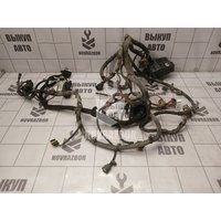 Проводка (коса) Chery QQ6 S21 07-10