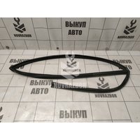 Уплотнитель стекла двери Hyundai Elantra 3 00-05