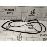 Уплотнитель стекла двери Daewoo Nexia 95-16