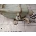 Бачок омывателя лобового стекла Chevrolet Aveo (T250) 2005-2011 Бачок омывателя лобового стекла Chevrolet Aveo (T250) 2005-2011