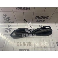 Уплотнитель двери Ford Fiesta 2001-2007