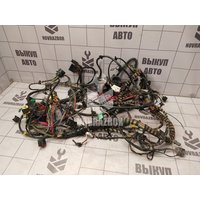 Проводка (коса) Ford Fiesta 2001-2007