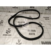 Уплотнитель двери Renault Fluence 10-17