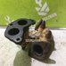 Коллектор выпускной Subaru Forester S10 1997-2000 Коллектор выпускной Subaru Forester S10 1997-2000